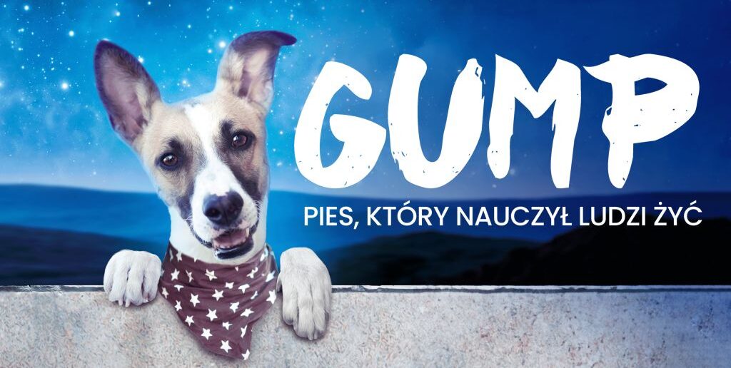 Gump z podopolskim rodowodem. Jak czeski bestseller znalazł swoje miejsce na Opolszczyźnie