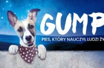 Gump z podopolskim rodowodem. Jak czeski bestseller znalazł swoje miejsce na Opolszczyźnie