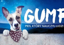 Gump z podopolskim rodowodem. Jak czeski bestseller znalazł swoje miejsce na Opolszczyźnie