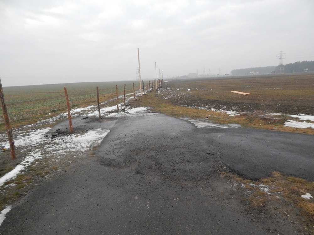 Wielki niedosyt w cieniu wielkiej hali