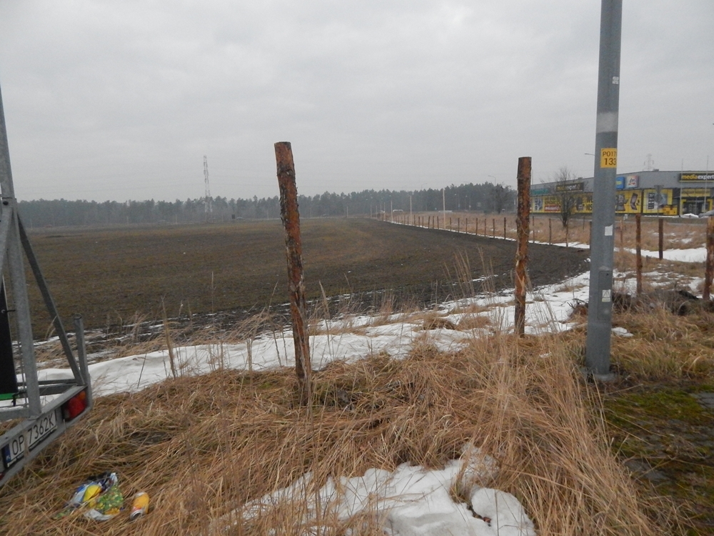 Wielki niedosyt w cieniu wielkiej hali