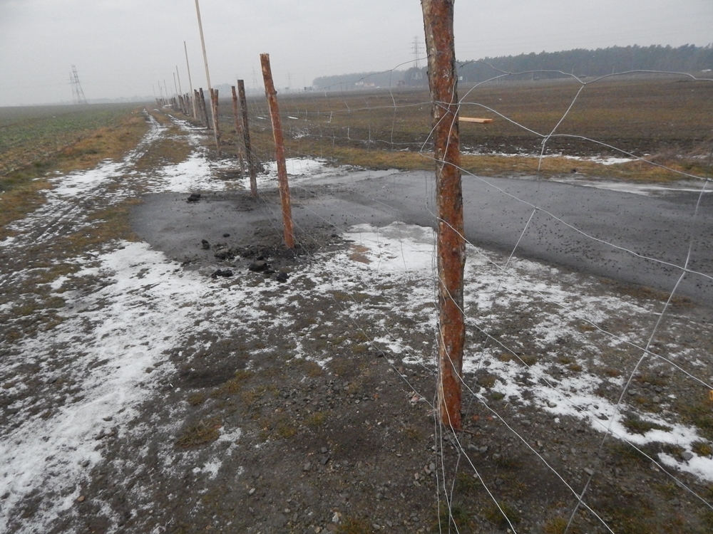 Wielki niedosyt w cieniu wielkiej hali