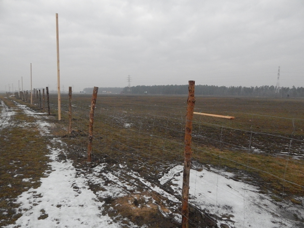 Wielki niedosyt w cieniu wielkiej hali