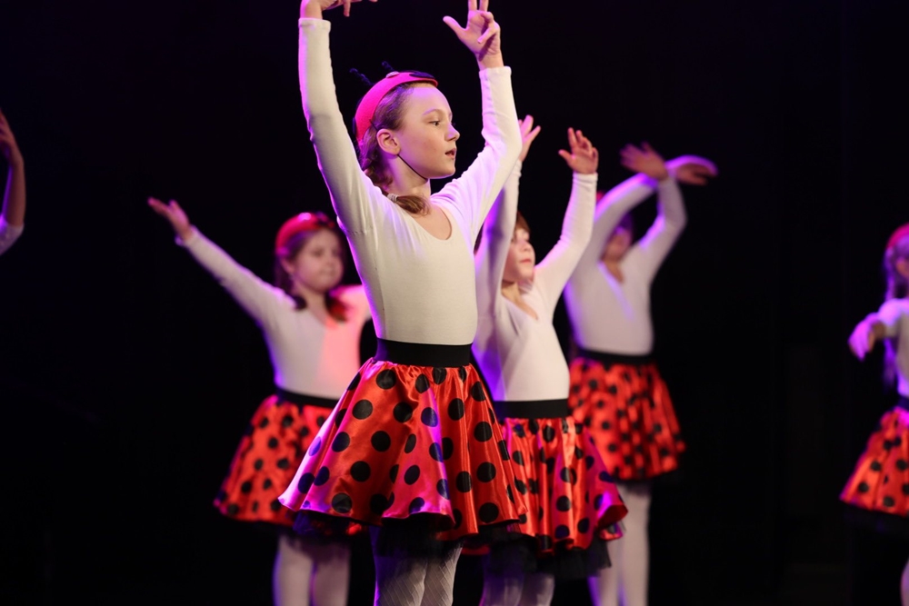 Saperzy i… Biedronki. O tym, jak w Brzegu robi się kulturę