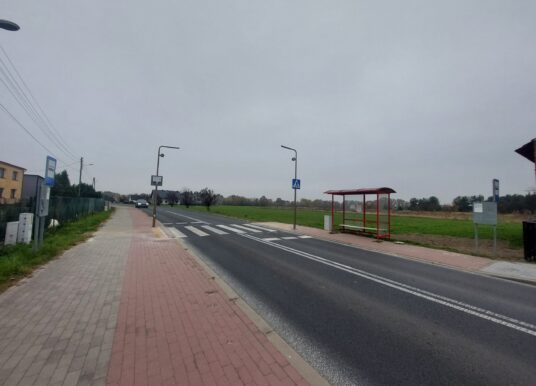 Bezpieczniej na pasach w całym regionie. Rusza trzecia edycja programu Super Zebra