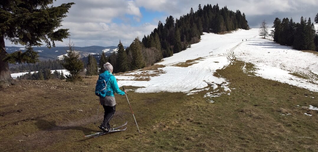 Czy to już koniec zimy, czy tylko „rozmowa rekrutacyjna” z wiosną? Czy to już koniec zimy, czy tylko „rozmowa rekrutacyjna” z wiosną?