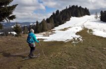 Czy to już koniec zimy, czy tylko „rozmowa rekrutacyjna” z wiosną? Czy to już koniec zimy, czy tylko „rozmowa rekrutacyjna” z wiosną?