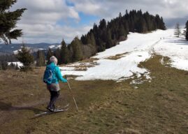 Czy to już koniec zimy, czy tylko „rozmowa rekrutacyjna” z wiosną?