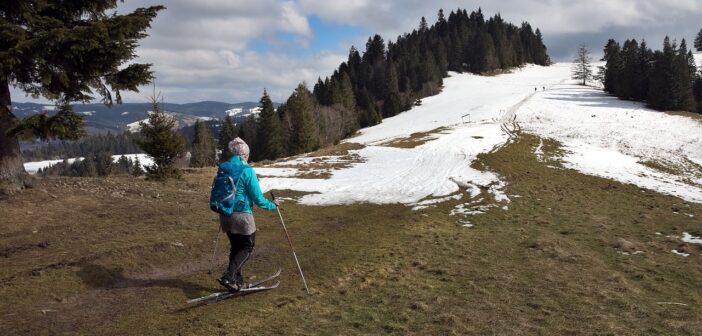Czy to już koniec zimy, czy tylko „rozmowa rekrutacyjna” z wiosną?