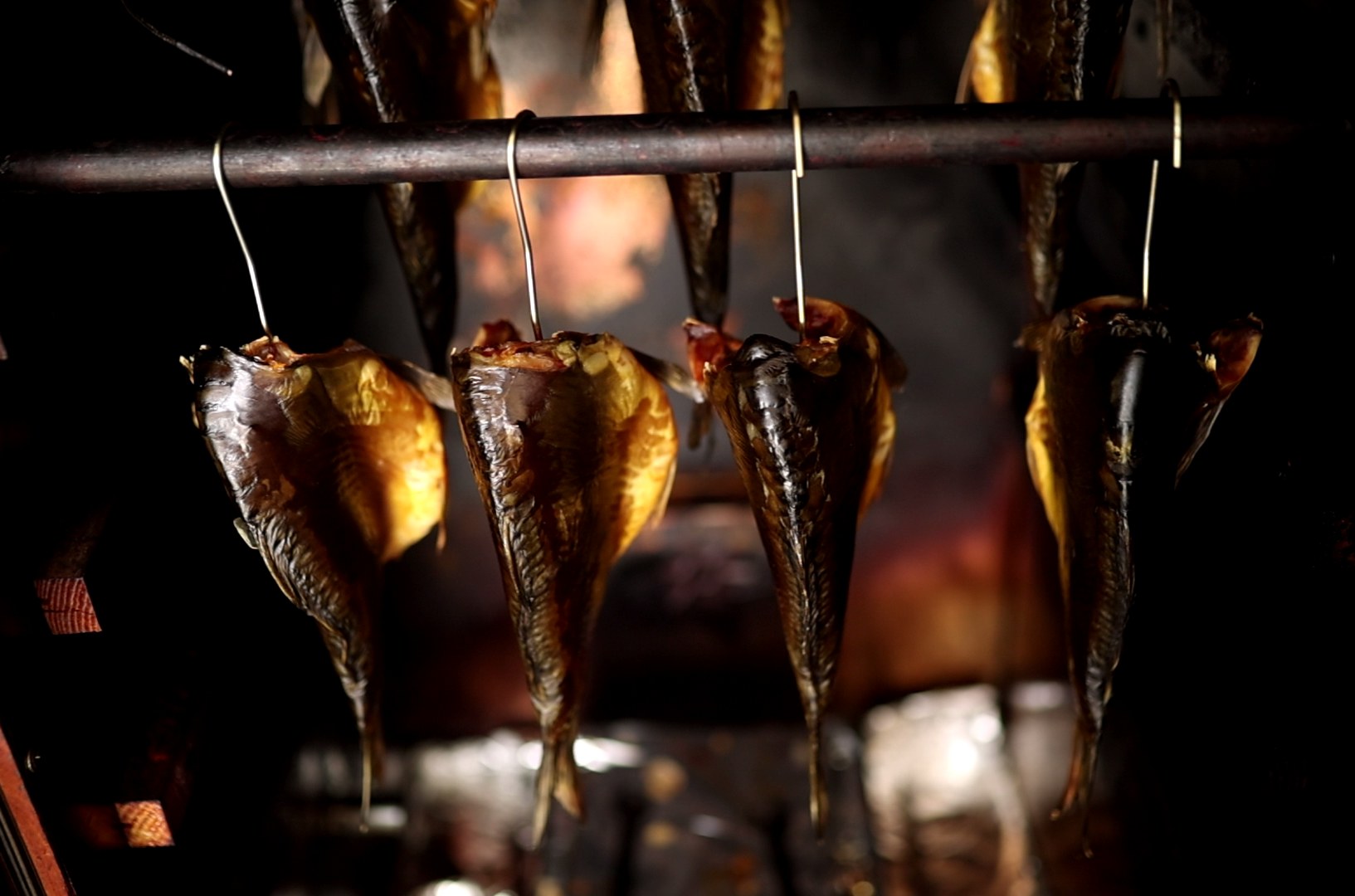 Nie tylko od święta: Karp z Niemodlina podbija serce Opolan