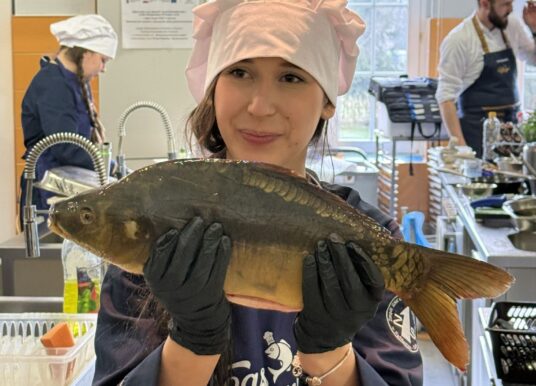 Nie tylko od święta: Karp z Niemodlina podbija serce Opolan