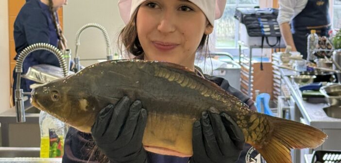 Nie tylko od święta: Karp z Niemodlina podbija serce Opolan