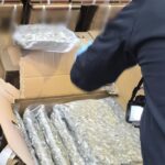 „Zamiast zwykłego towaru znalazł susz w foliowych workach”. Ogromne narkotykowe znalezisko na palecie w firmie pod Brzegiem