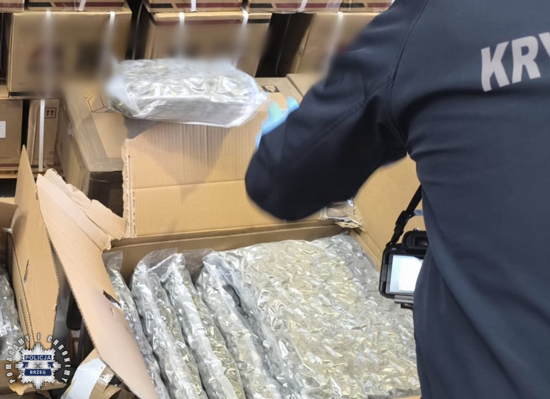 „Zamiast zwykłego towaru znalazł susz w foliowych workach”. Ogromne narkotykowe znalezisko na palecie w firmie pod Brzegiem