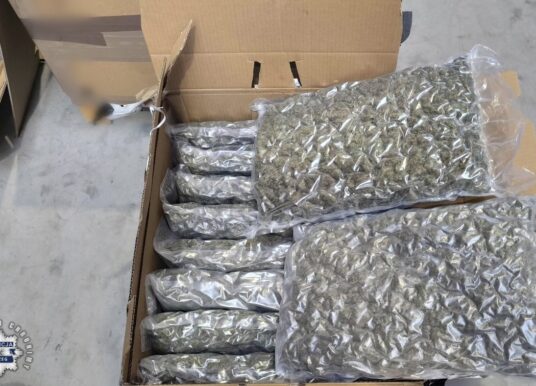 „Zamiast zwykłego towaru znalazł susz w foliowych workach”. Ogromne narkotykowe znalezisko na palecie w firmie pod Brzegiem