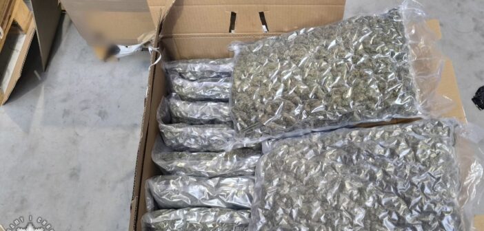 &bdquo;Zamiast zwykłego towaru znalazł susz w foliowych workach&rdquo;. Ogromne narkotykowe znalezisko na palecie w firmie pod Brzegiem