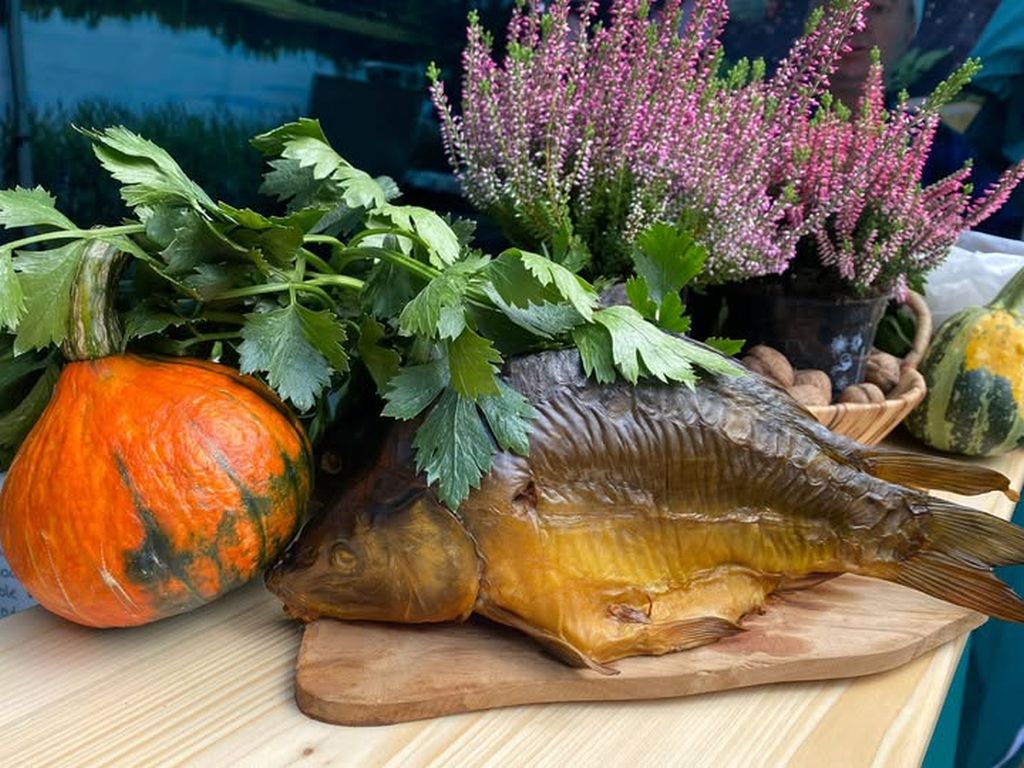 Nie tylko od święta: Karp z Niemodlina podbija serce Opolan