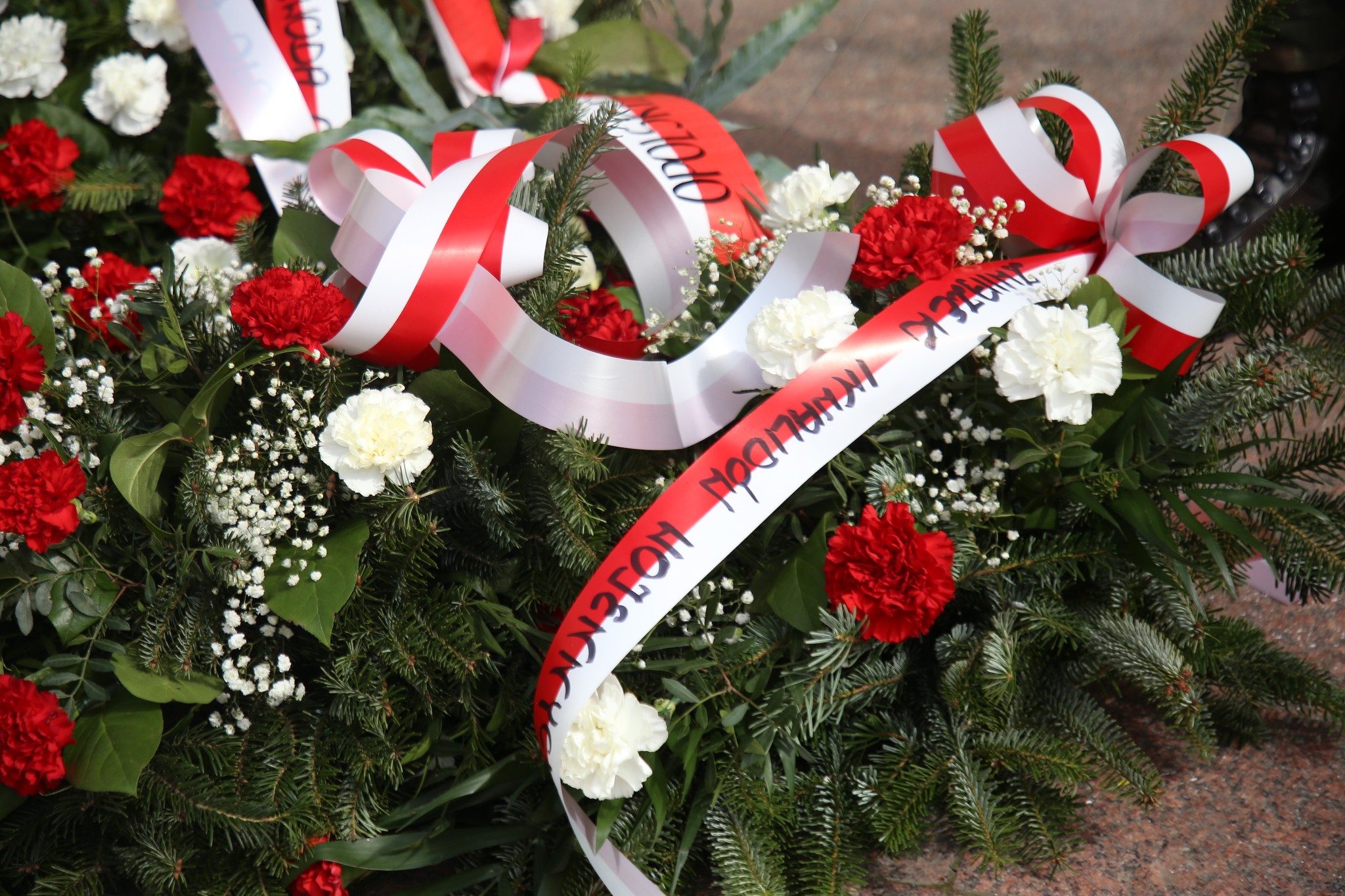 Wspólnota blizn i godności