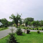 Opolskie: Gdzie tradycja smakuje najlepiej, a wspólnota ma swój adres