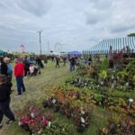 Łosiów tonie w kwiatach. I całe szczęście, że jeszcze są miejsca, gdzie ludzie zachwycają się pelargonią bardziej niż ekranem telefonu