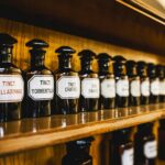 Gdy noc staje się dniem, a region jedną wielką galerią