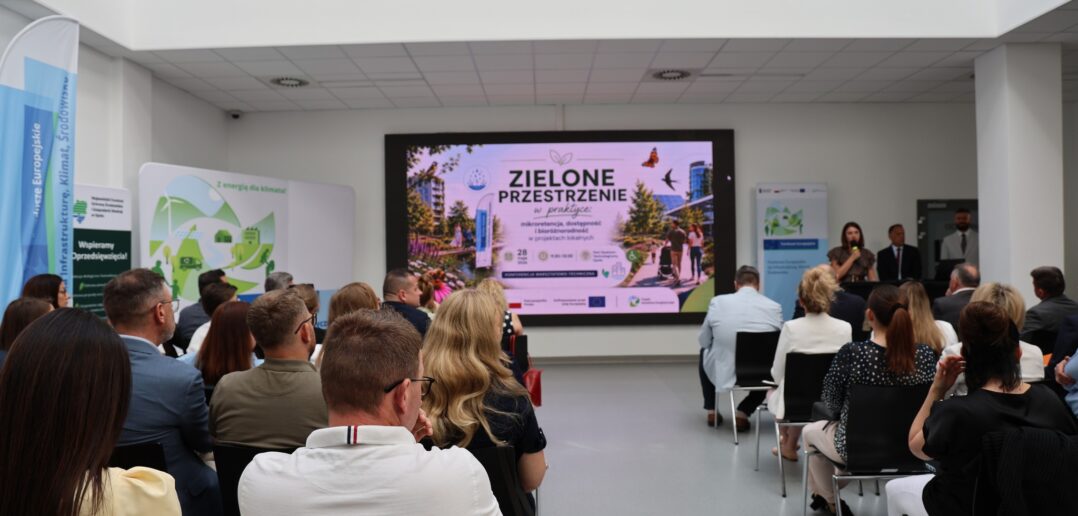 Zielona rewolucja w miastach: Jak skutecznie zatrzymać wodę i ochłodzić betonowe pustynie?