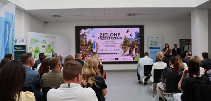 Zielona rewolucja w miastach: Jak skutecznie zatrzymać wodę i ochłodzić betonowe pustynie?