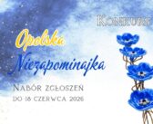 Opolskie &bdquo;Oskary&rdquo; dla ludzi od cichej roboty