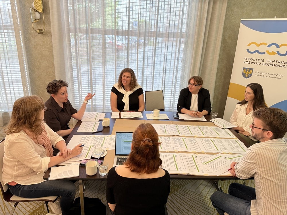 Europejskie regiony uczą się od Opolskiego. Trwa międzynarodowe spotkanie projektu iCEAR