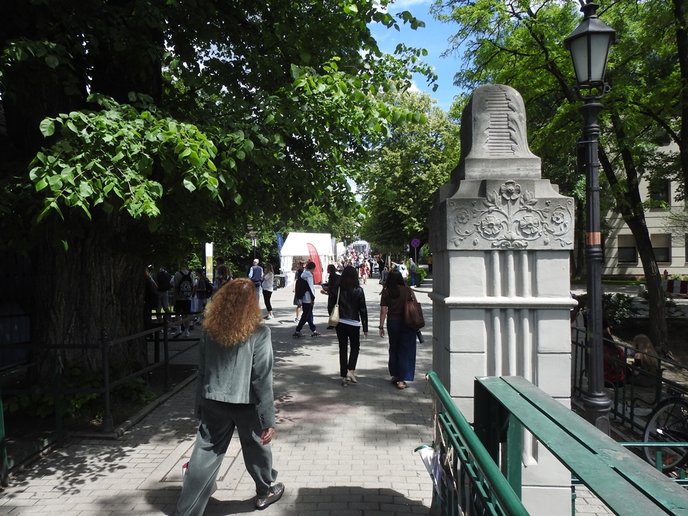 Opole znów czyta. Ruszył jubileuszowy Festiwal Książki – piątek cz. I – [ZDJĘCIA]