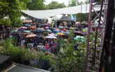 Deszcz? Opolanie po raz kolejny zdali festiwalowy egzamin – cz. 4 [ZDJĘCIA]
