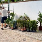 53. Lato Kwiat&oacute;w rozkwitło w Otmuchowie. Przed nami wielki finał święta kwiat&oacute;w i muzyki