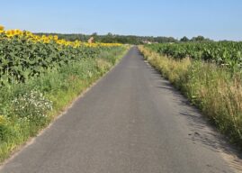 Drogi, które służą wszystkim. Miliony z budżetu województwa na wiejską infrastrukturę