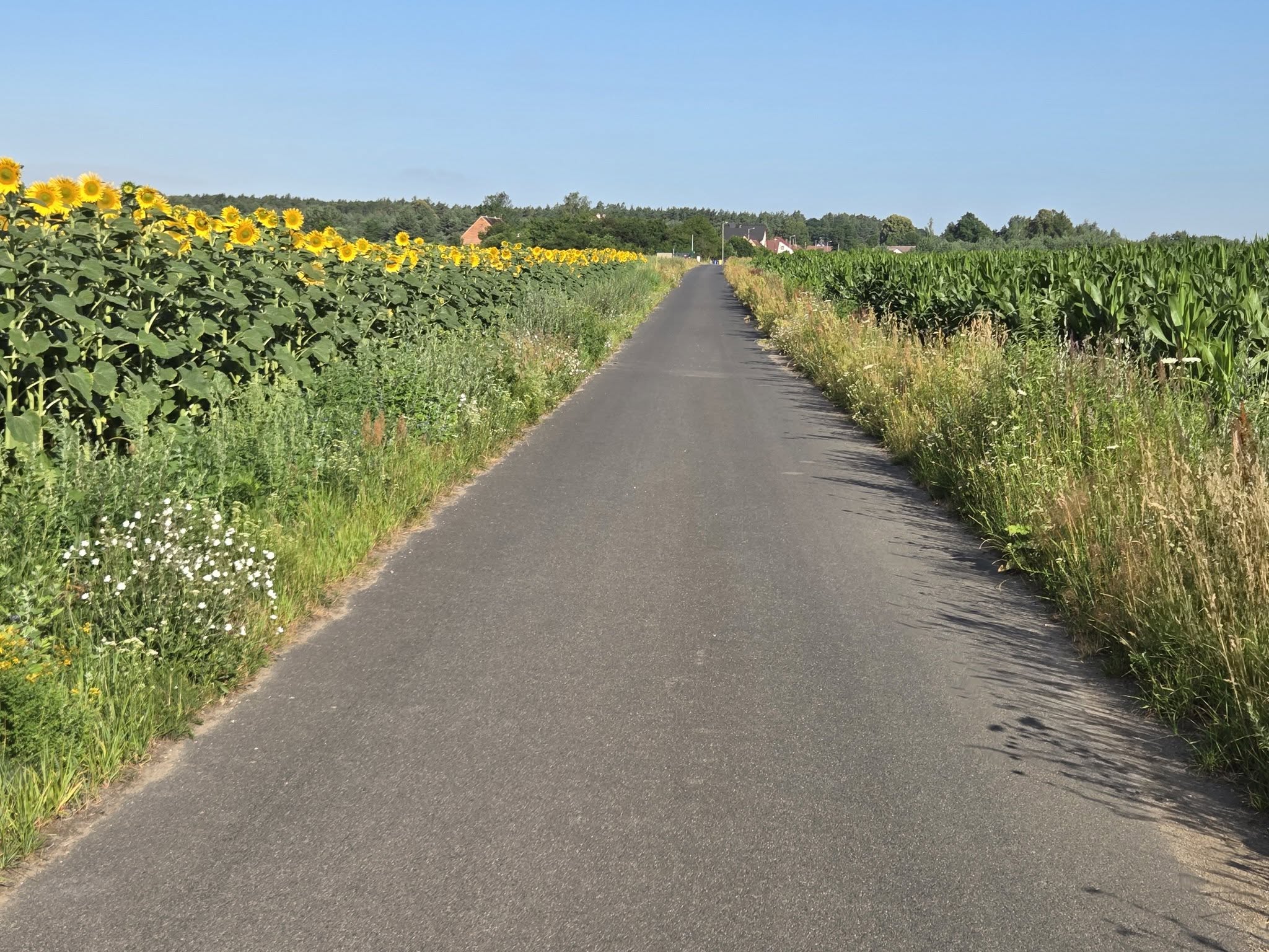 Drogi, które służą wszystkim. Miliony z budżetu województwa na wiejską infrastrukturę