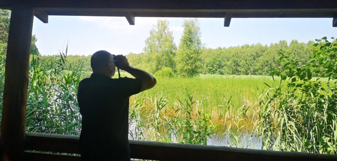 W Borach Niemodlińskich przybywa domów dla puszczyków. Skorzystają nie tylko sowy W Borach Niemodlińskich przybywa domów dla puszczyków. Skorzystają nie tylko sowy