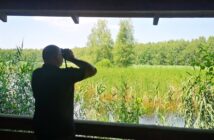 W Borach Niemodlińskich przybywa domów dla puszczyków. Skorzystają nie tylko sowy W Borach Niemodlińskich przybywa domów dla puszczyków. Skorzystają nie tylko sowy
