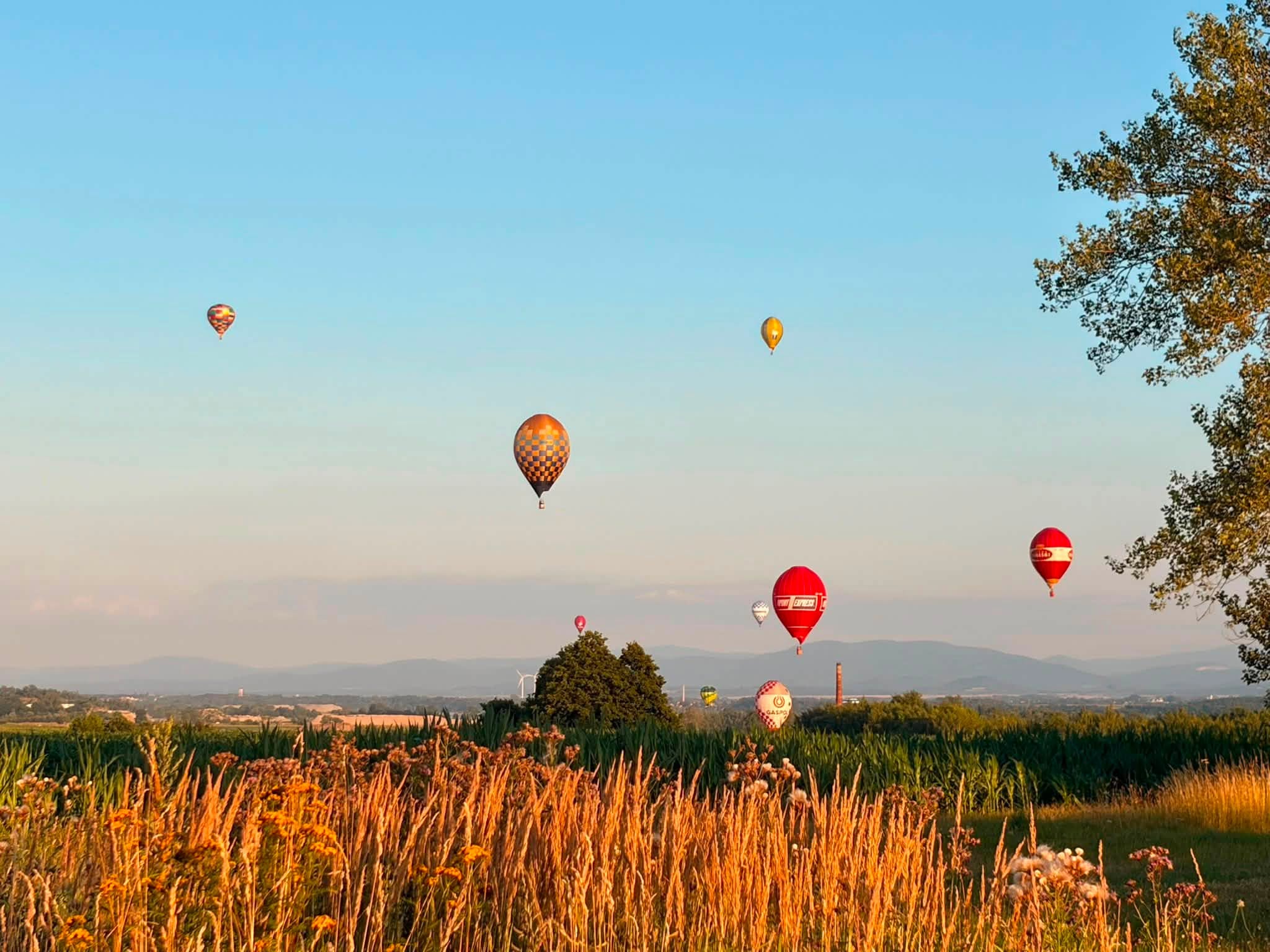 Kolorowe niebo znów nad Paczkowem. Balony wracają do rywalizacji po wietrznym falstarcie