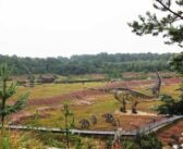 W sierpniu nie będzie nudy. LGD „Kraina Dinozaurów” zaprasza na bezpłatne zajęcia dla mieszkańców