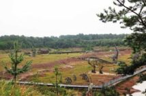 W sierpniu nie będzie nudy. LGD „Kraina Dinozaurów” zaprasza na bezpłatne zajęcia dla mieszkańców W sierpniu nie będzie nudy. LGD „Kraina Dinozaurów” zaprasza na bezpłatne zajęcia dla mieszkańców