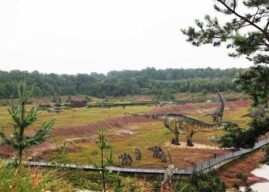 W sierpniu nie będzie nudy. LGD „Kraina Dinozaurów” zaprasza na bezpłatne zajęcia dla mieszkańców