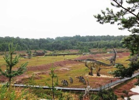 W sierpniu nie będzie nudy. LGD „Kraina Dinozaurów” zaprasza na bezpłatne zajęcia dla mieszkańców