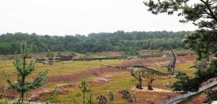 W sierpniu nie będzie nudy. LGD „Kraina Dinozaurów” zaprasza na bezpłatne zajęcia dla mieszkańców