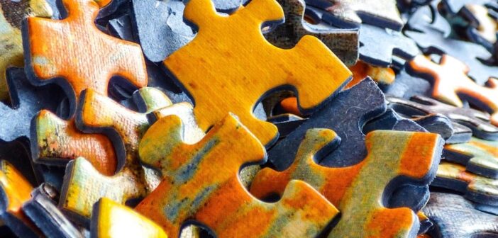 42 tysiące element&oacute;w, kt&oacute;re łączą ludzi. W Opolu ruszyło największe wsp&oacute;lne układanie puzzli