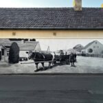 Kiedy ściana zaczyna pamiętać. W Dobrzeniu Wielkim Murki namalowały sto lat historii
