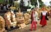 Opolszczyzna dziękuje za plony. Dożynkowy weekend w regionie