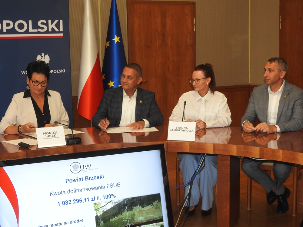 Po powodzi płynie kolejny strumień pieniędzy. Blisko 5 mln zł dla Nysy, powiatu brzeskiego i Prudnika