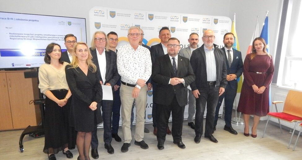 Osiem opolskich firm dostało 8,2 mln zł. Będą badać depresję, zabezpieczać magazyny energii i sterować żurawiem z lądu
