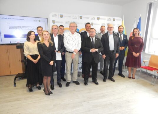 Osiem opolskich firm dostało 8,2 mln zł. Będą badać depresję, zabezpieczać magazyny energii i sterować żurawiem z lądu