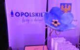 Niezapominajki dla tych, którzy mają czas dla innych. Oto wszyscy nagrodzeni Niezapominajki dla tych, którzy mają czas dla innych. Oto wszyscy nagrodzeni