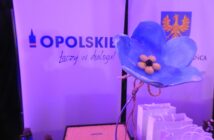 Niezapominajki dla tych, którzy mają czas dla innych. Oto wszyscy nagrodzeni Niezapominajki dla tych, którzy mają czas dla innych. Oto wszyscy nagrodzeni